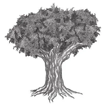 Big tree with leaves. Stock Illustration