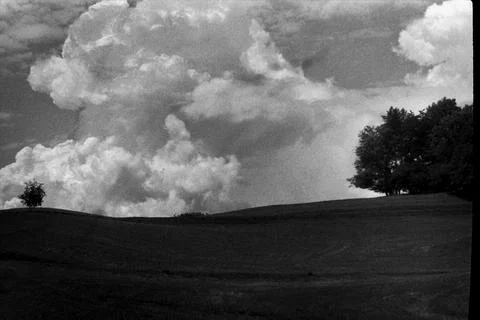 Big tree, little tree immersed in an explosion of clouds Stock Photos