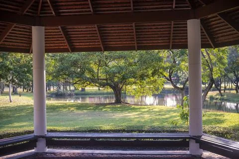 Big tree Stock Photos