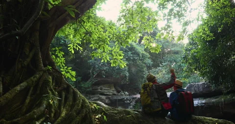 Big tree roots and backpacker people hug each other Stock Footage 138977295