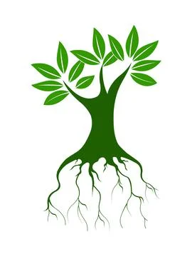 tree with roots clip art free