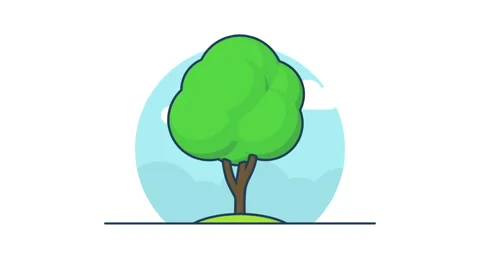 Big tree rotation 360 degrees Stock-Footage 62482755