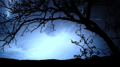 Big Tree Silhouette, Thunderstorm Timelapse Stock Footage 113106609