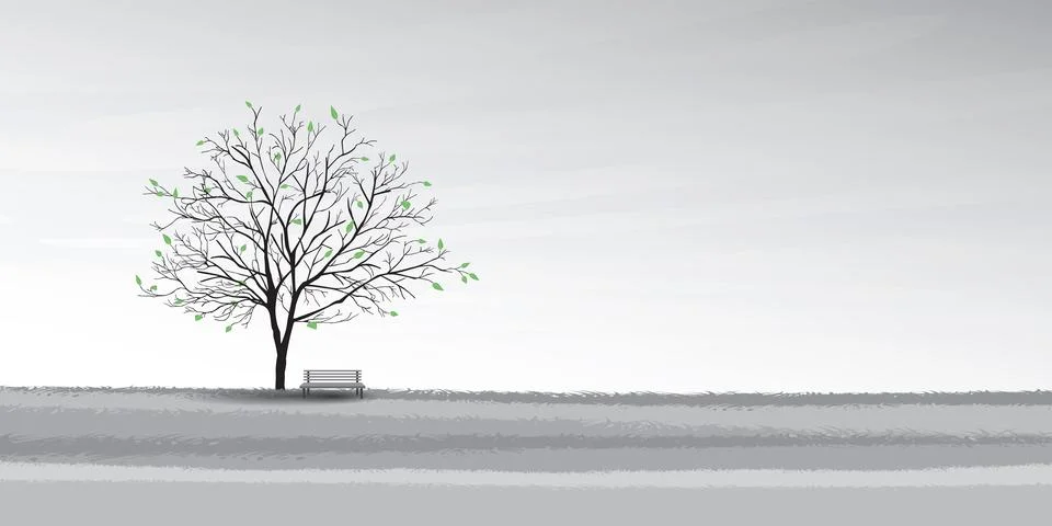 The big tree in springtime and bench with sky background black and white co.. Stock Illustration