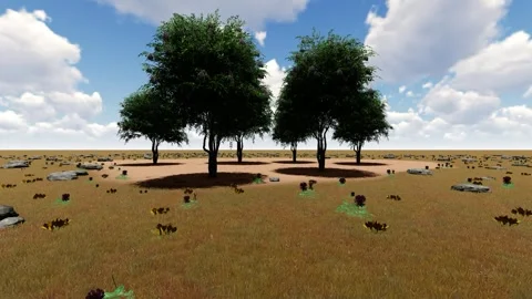 Big Tree Stand under Sky Stock Footage 337254810