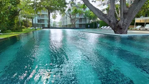 Big tree in  swimming pool Luxury hotel Stock Footage 276339229
