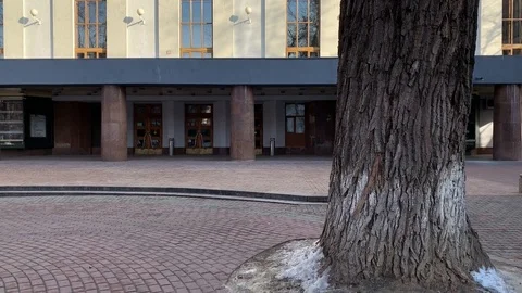 Big tree trunk in front of the building Stock Footage 103580012