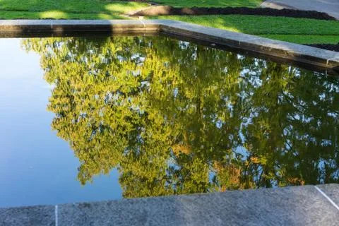 Big tree water reflection mirror view with blue sky Photos
