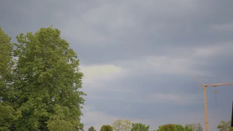 Big tree is waving in  strong wind and the sky changing to bad weather condition 库存影片 155273384