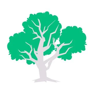 Big tree with white trunk green foliage ecology fresh environment nature grow Stock Illustration