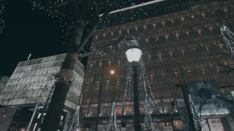 Big trunks of the tree with the series lights on the park near the road. Stock Footage 140384645