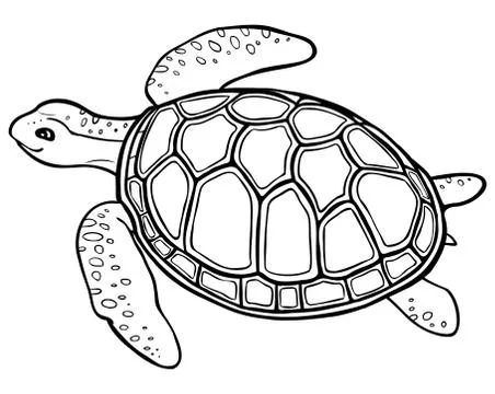 Big turtle - contour drawing, coloring page with simply decor Stock Illustration