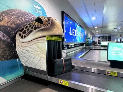 Big turtle head with baggage carousel at Cairns Australia airport Stock Photos