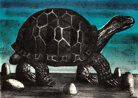 Big turtle Stock Illustration