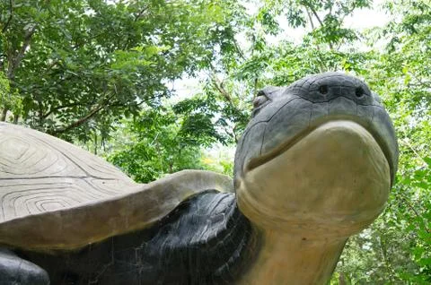 Big turtle Stock Photos