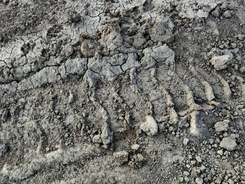 A big tyre impression on the earth surface Stock Photos