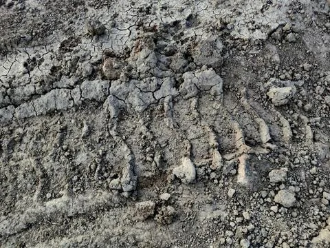 A big tyre impression on the earth surface Stock Photos