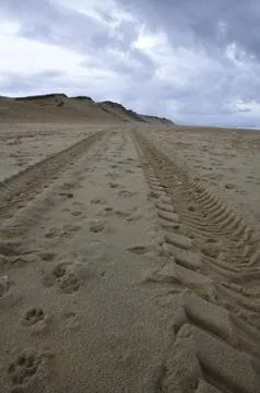 Big tyre traces on an empty beach Stock Photos