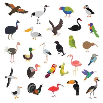 Big vector birds set Stock Illustration