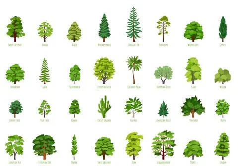 Big Vector cartoon set with trees isolated Stock Illustration