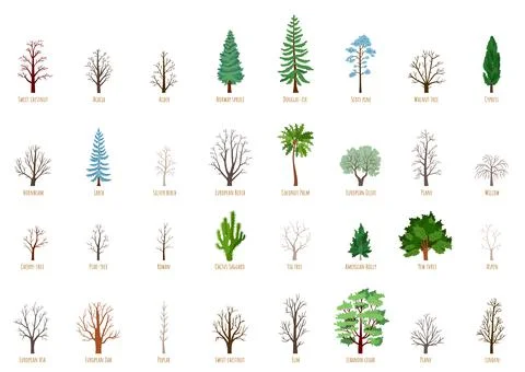 Big Vector cartoon set with winter trees isolated Stock Illustration