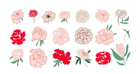 Big vector set of abstract flowers Peony,Rose,Gerber,Anemon, Protea Stock Illustration