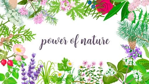 Big vector set of beautiful flowers and plants. Ornament with text power of Stock Illustration