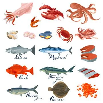 Big vector set with different varieties of marine fishes and seafood specialties Stock Illustration