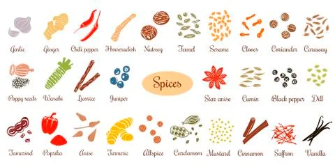 Big vector set of popular culinary spices silhouettes.  Stock Illustration