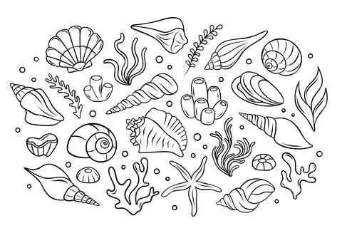 Big vector set, seashells, corals, algae, sea sponges, underwater marine li.. Stock Illustration