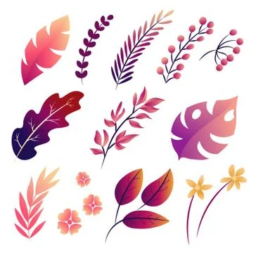 Big Vector set of tropical leaves, isolated illustration Stock Illustration