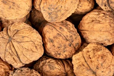 Big walnuts closeup Stock Photos