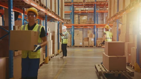 Big Warehouse with Cardboard Boxes and People Working Vídeo Stock 141578689