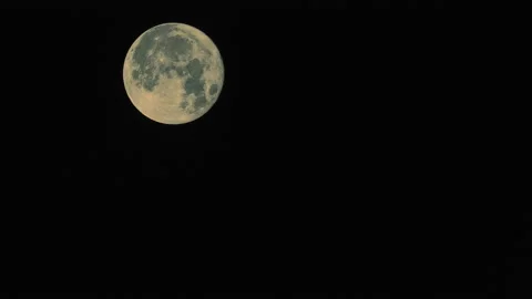 Big Warm Close Up Blue Moon in Black Sky Astro Timelapse Stock Footage 202109012