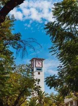 A big watch on a tower appearing between trees. Stock Photos
