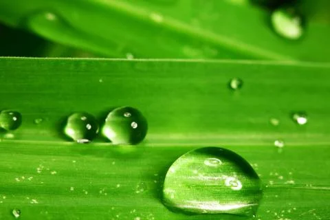 Big water drop Stock Photos