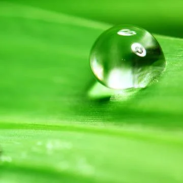 Big water drop Stock Photos