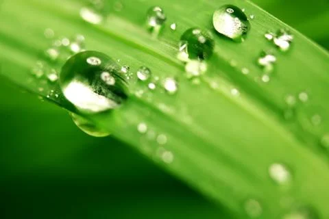 Big water drop Stock Photos