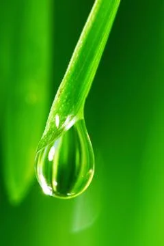 Big water drop Stock Photos