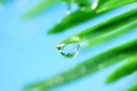 Big water drop 写真素材