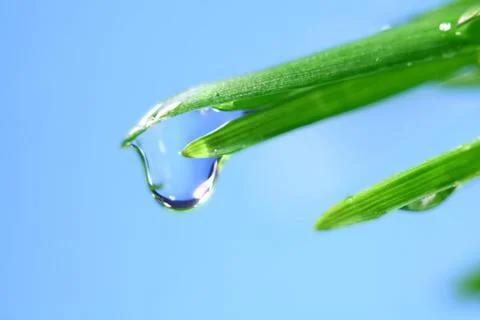 Big water drop Stock Photos