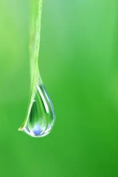 Big water drop Stock Photos