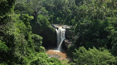 Big waterfall at the jungle Stock Footage 233147435