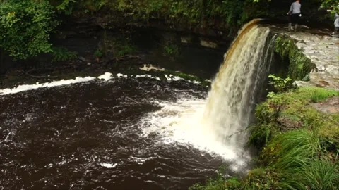 Big Waterfall in Nature. Large waterfall in the Forest Woodland Video stock 306537220