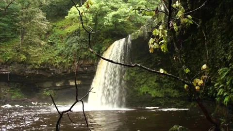 Big Waterfall in Nature. Large waterfall in the Forest Woodland Stock Footage 306537229