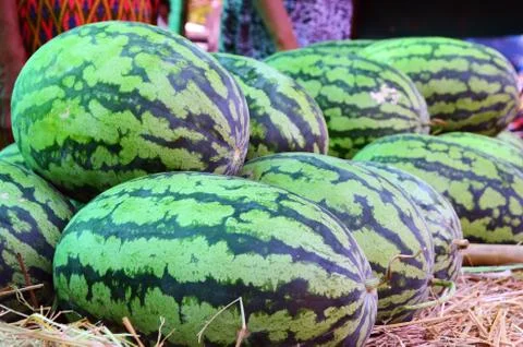 Big watermelon Stock Photos