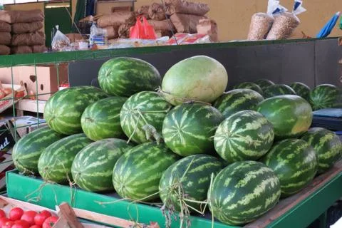 Big watermelons Stock Photos