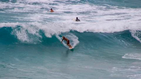 Big Wave Surfer Fotos Stock