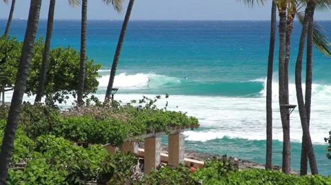Big Wave surfing in Honolulu Stock-Footage 44923847