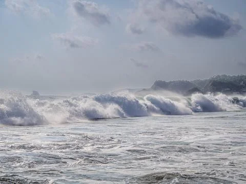 Big waves against the background of forested hills Stock Photos